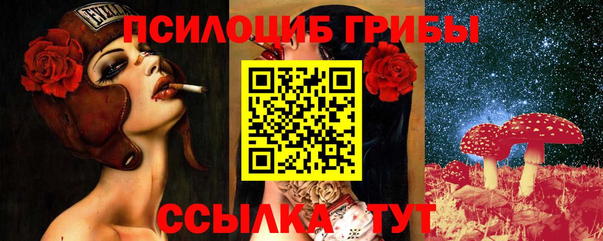 Псилоцибиновые грибы мицелий  Галлюциногенные грибы Psilocybine cubensis  Лесной  Вход с VPN 